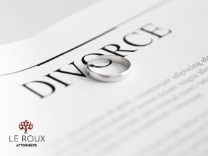 Divorce Lawyer